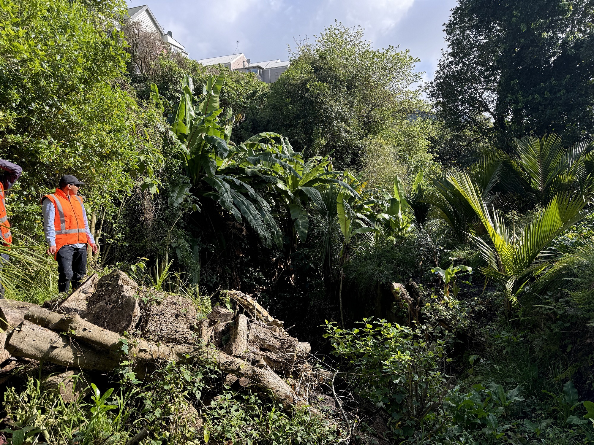 Logs and debris across Middleton Stream.