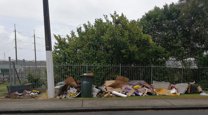 Illegal dumping prosecution1