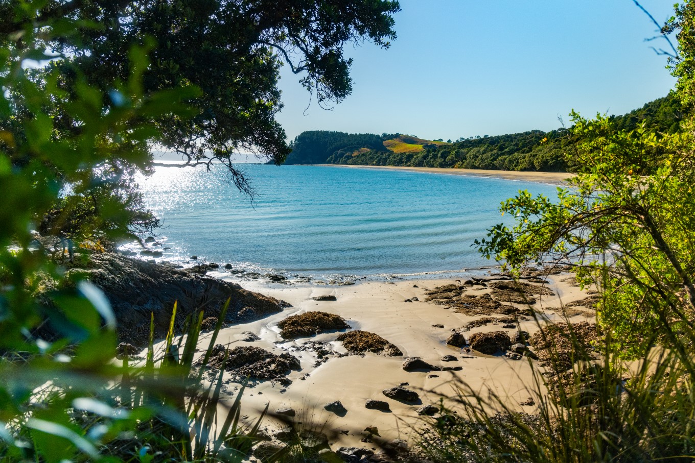 Tawhitokino Regional Park.