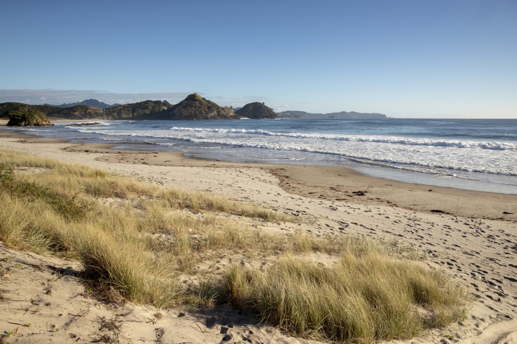 Local board supports St John mental health course on Aotea