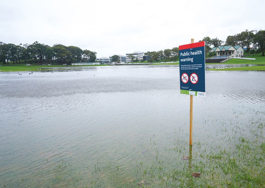 Domain Flood