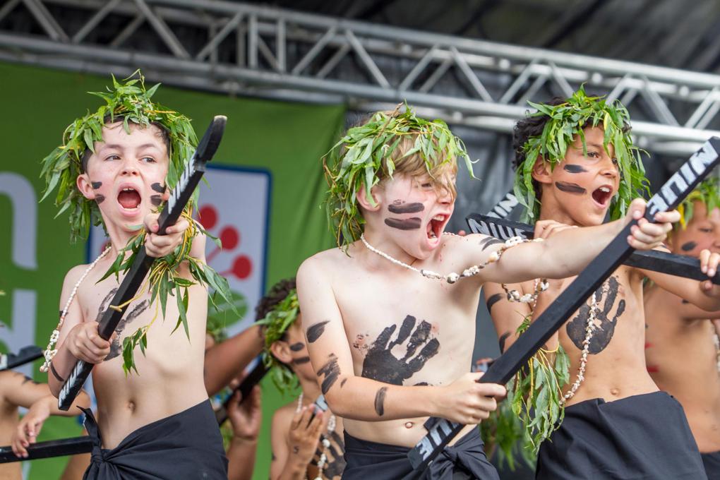 Cultural Fest