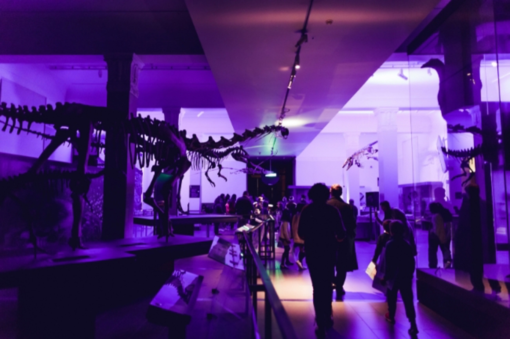 AFK EDM Image_f13ji151.jpg