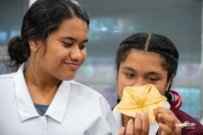 Marine education leads in Tamaki