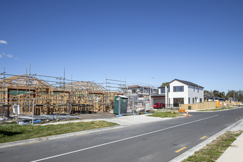 Kauri Flats