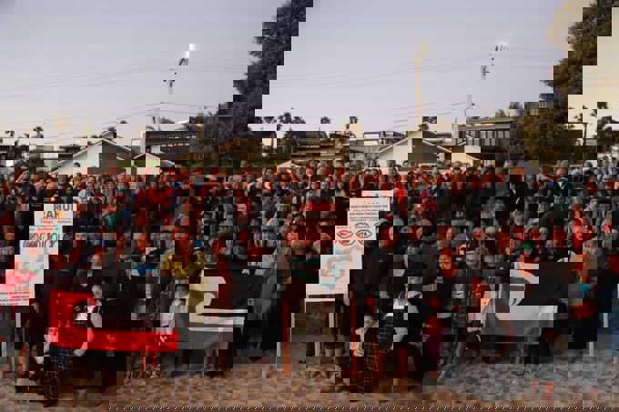 Waiheke Local Board gives support for rahui to protect the island’s kaimoana