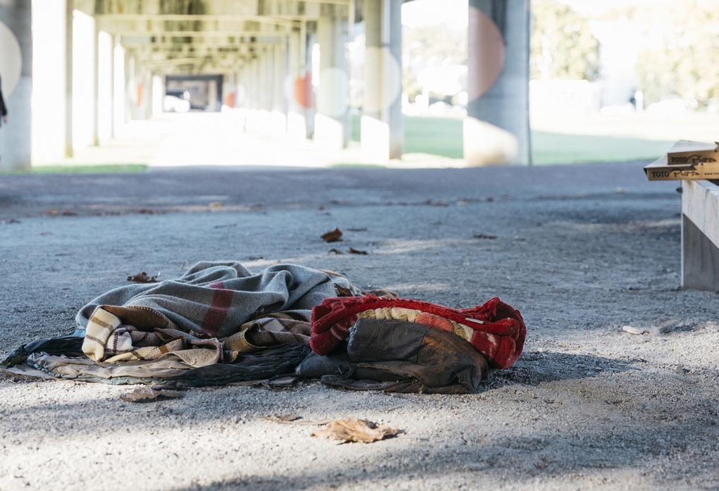 Councillor Fa'anānā Efeso Collins: Homelessness is not anti-social behaviour