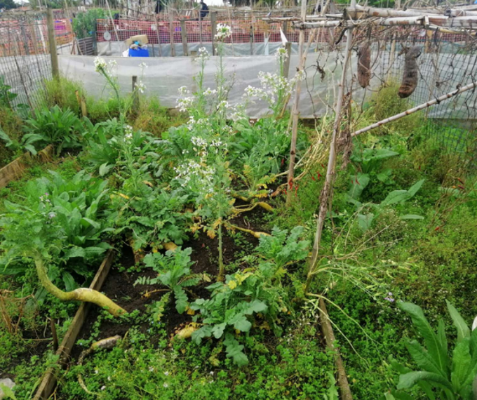 Untitled Design 2026 03 25T151335.220