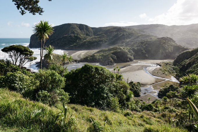 Could the Waitakere Ranges become New Zealand’s next ‘dark sky’ park?