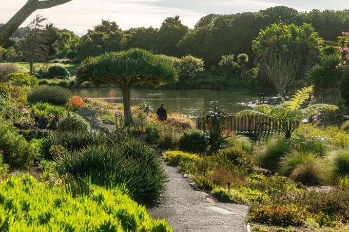 Botanic Gardens Image 6
