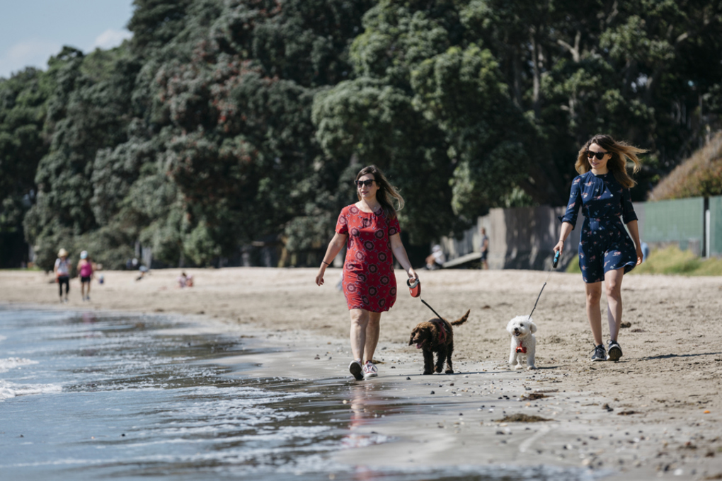 Dog days - great summer dog walking spots