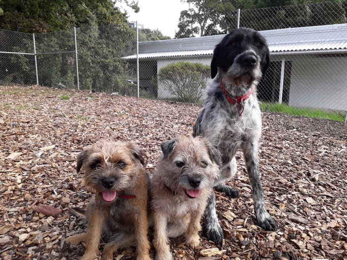 Meet us at the Home Show