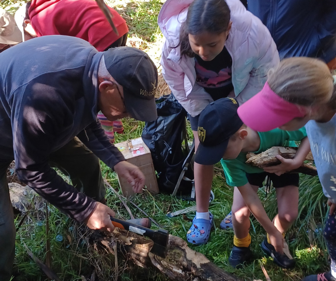 Ruud the bug expert in action