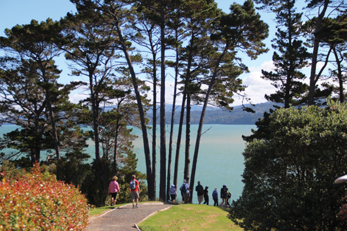 Explore Waikowhai Walkway