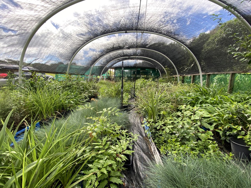 Greenhouse