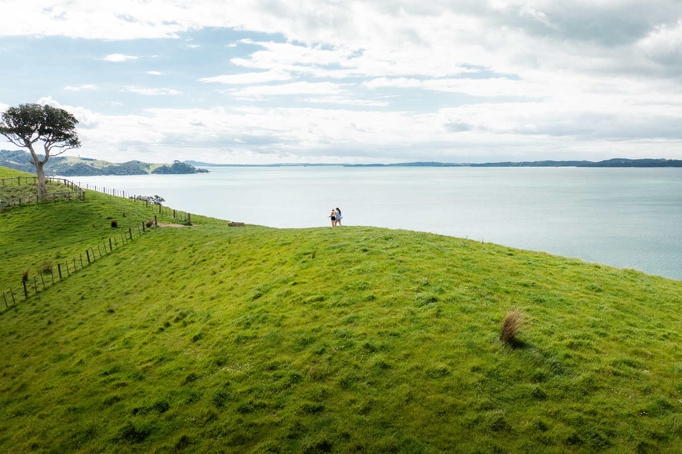 People walking by the water in a grassy area. 