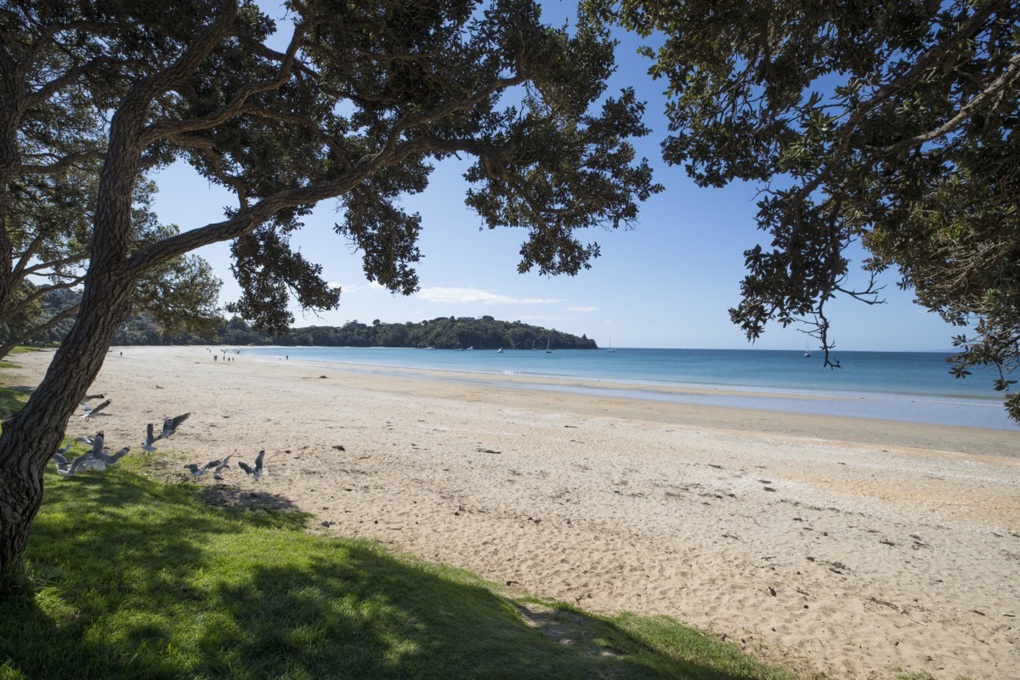 Stormwater upgrade for Waiheke's Fourth Ave