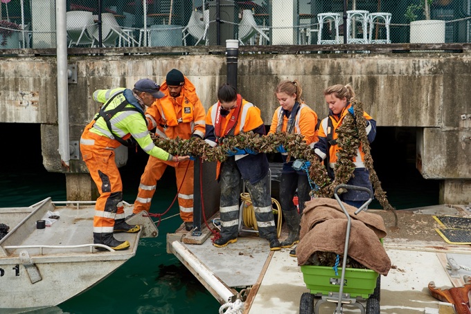 A living connection between land and sea