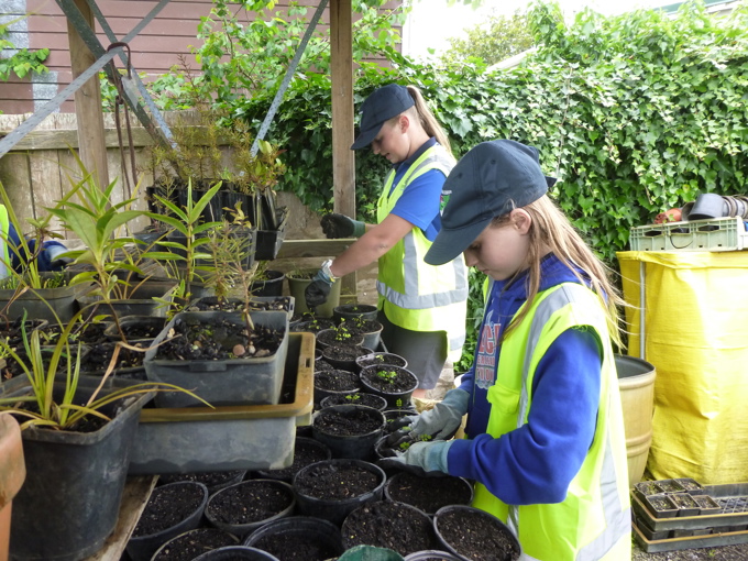 Action stations for Auckland’s most improved river (1)