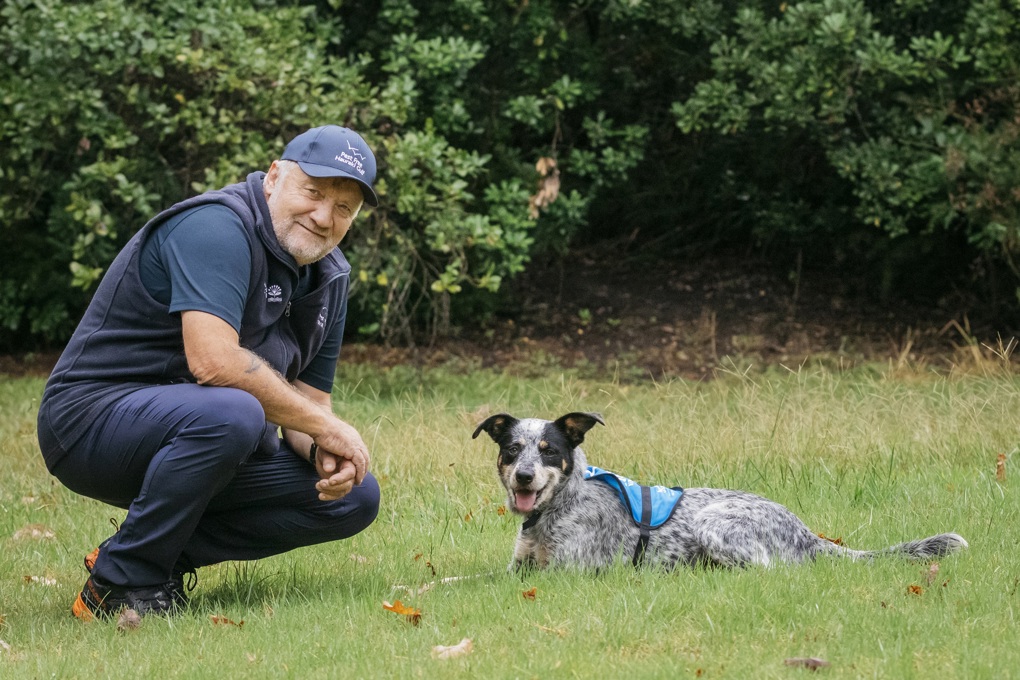 Dog with a Job 1