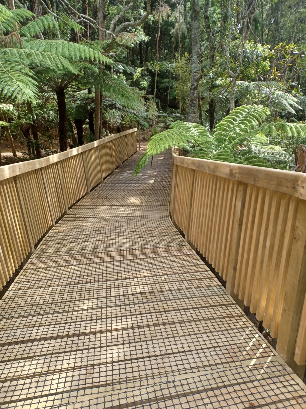 Birkenhead Track 4