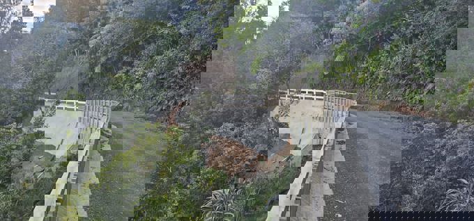 Whatipu Road, Whatipu completed April 2025