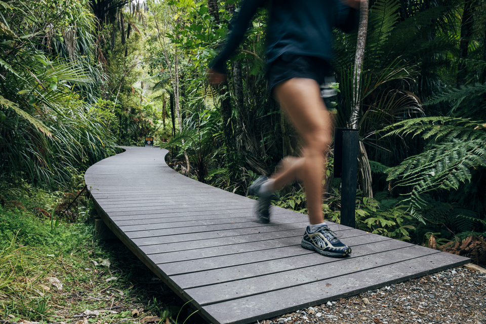Hiker walking on a boardwalk in the bush. 