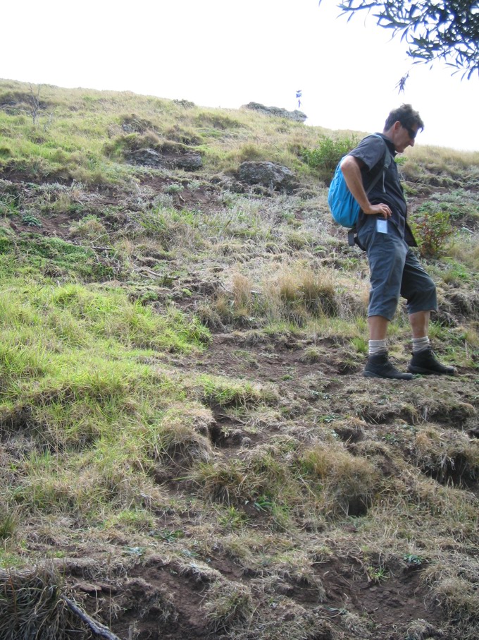 Oma rāpeti! Protecting our maunga from pests 1