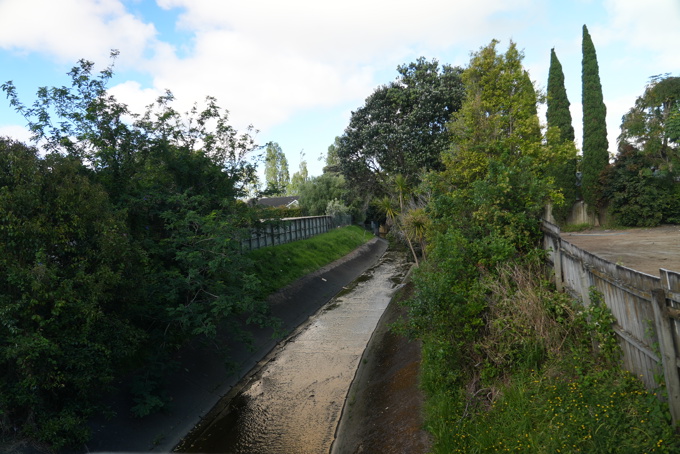 Nga Wairau project 1