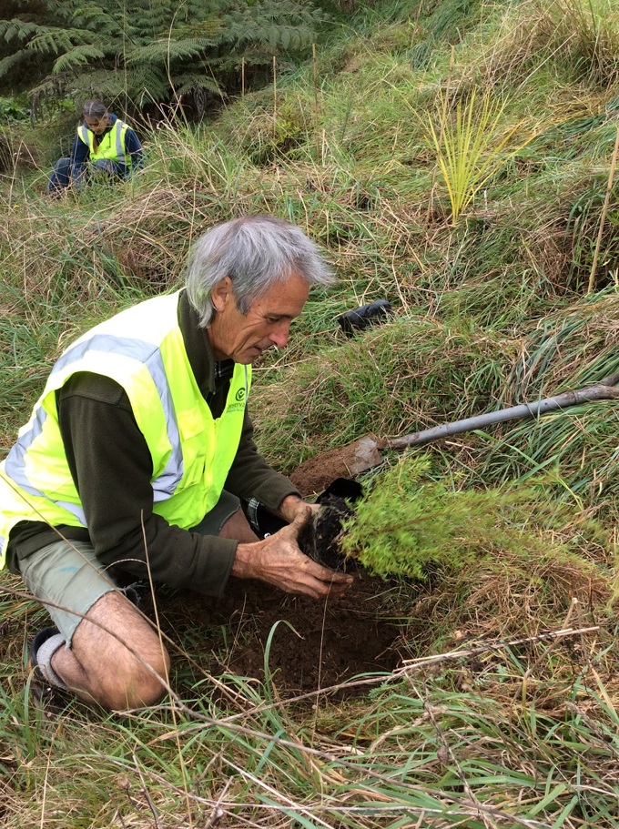Protecting our native giant kokopu