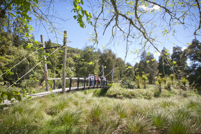 Clevedon Scenic Reserve