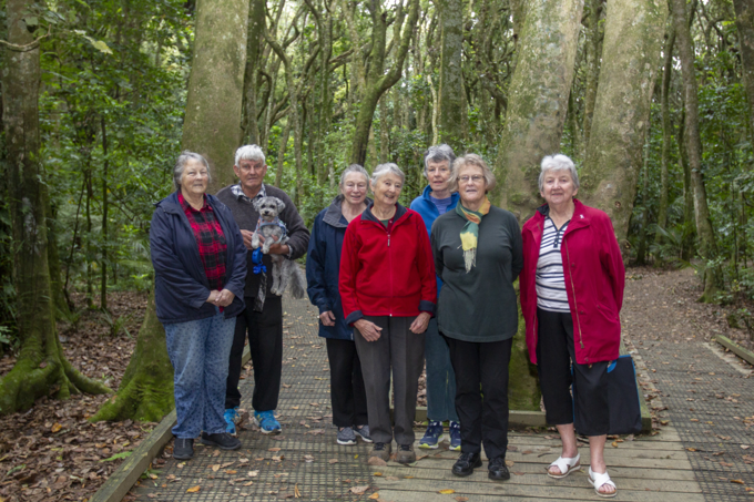 Longtime volunteers stand beneath the tree canopy in Kirks Bush - Papakura