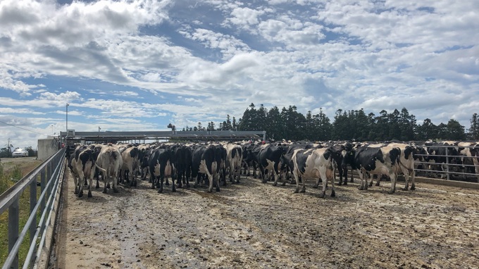 Balance Farm Awards1