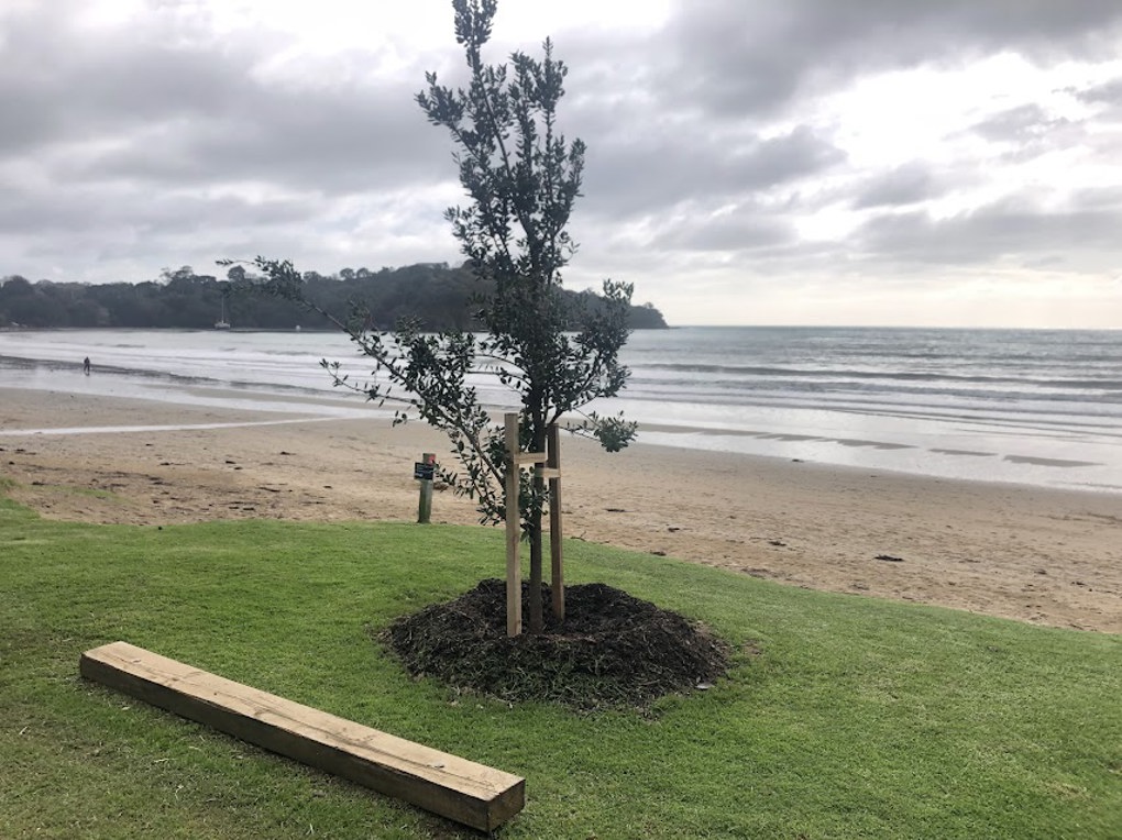 Oneroa Beach