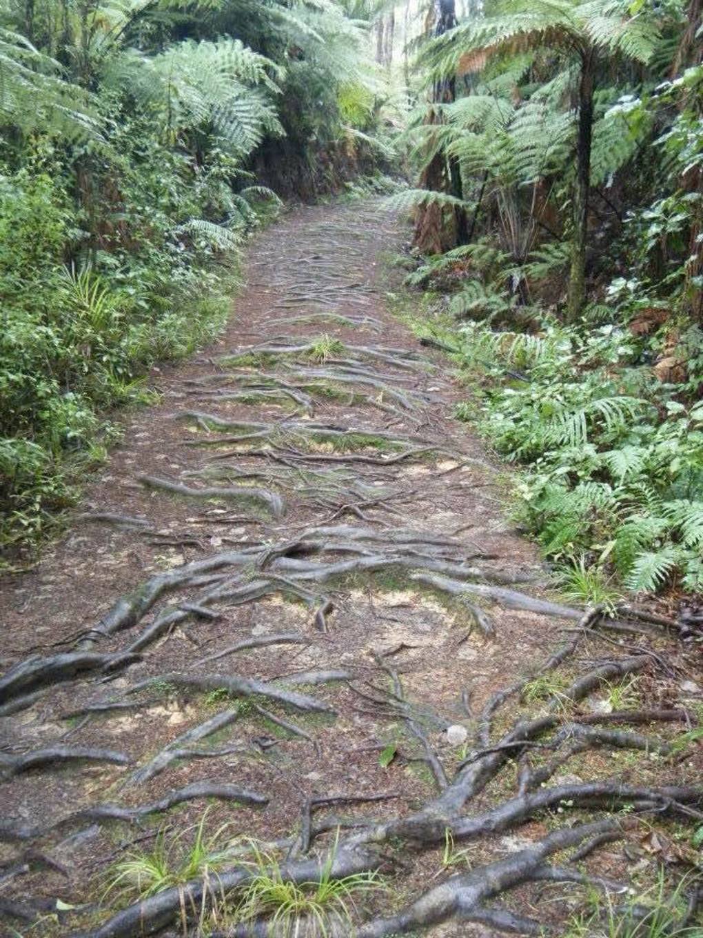 Hillary Trail scenery (21)