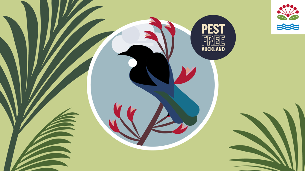 23 PRO 1005 Save Our Backyard Birdsong