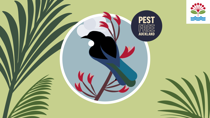 23 PRO 1005 Save Our Backyard Birdsong