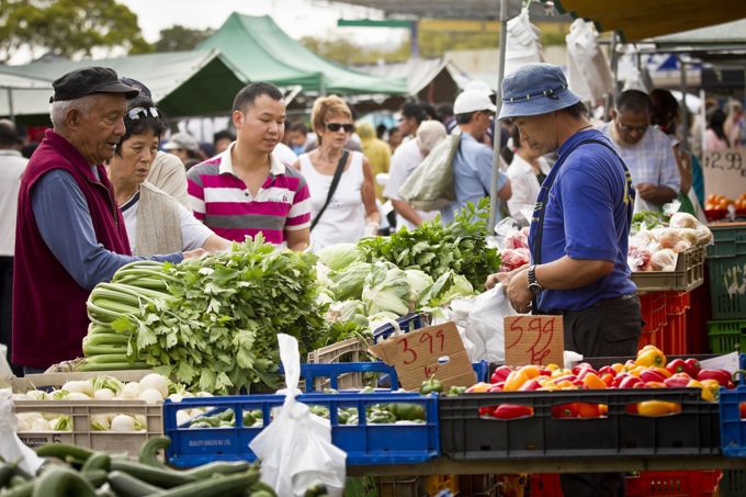 The gems on our doorstep 24