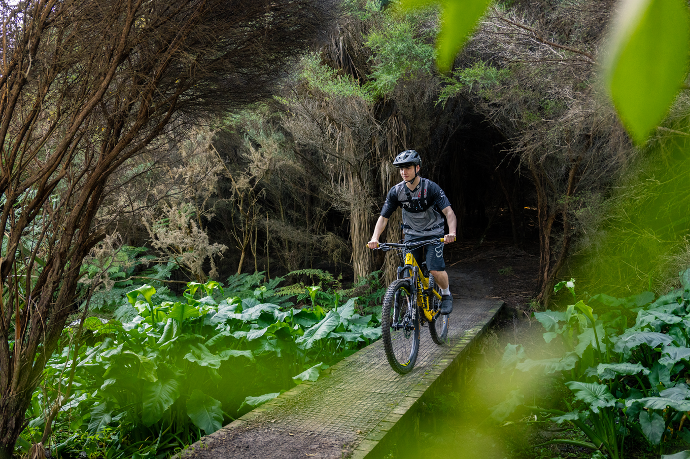 A person riding a bike in the bush. 