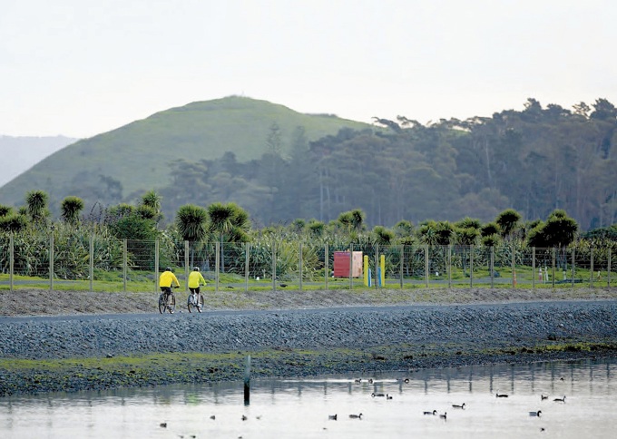 Going South - a local's guide to summer in south Auckland (2)