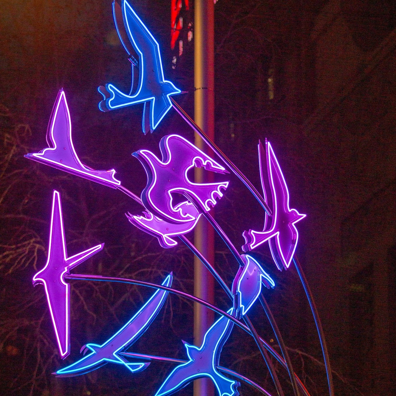 Turama lights art display. 