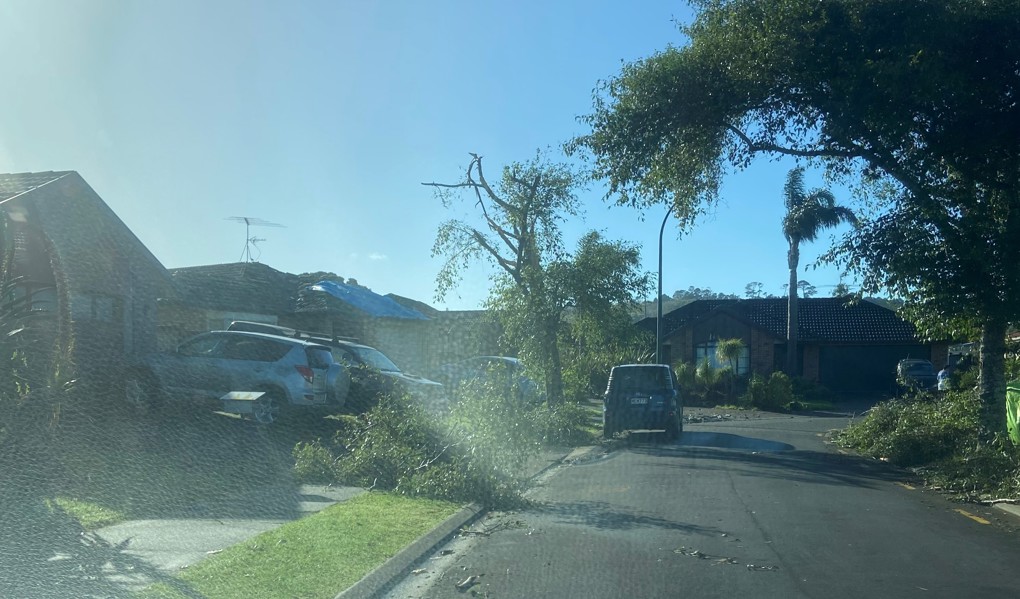 East Auckland tornado