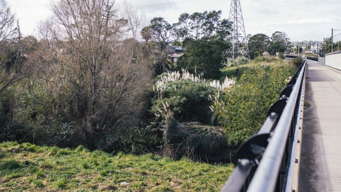 Planting-by-the-Bike-Path-New-Lynn-1000x563_gkh0vb2p.jpg