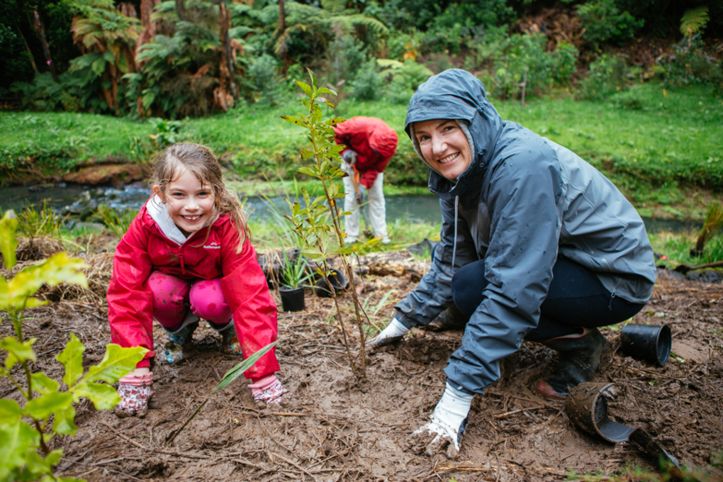 AE Outcome 5_Tree planting_38-346627