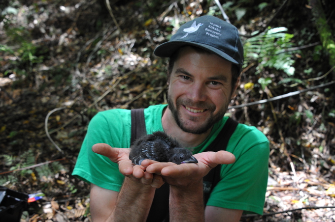 20151203_HUNUA_Monitoring & banding_ (300).JPG