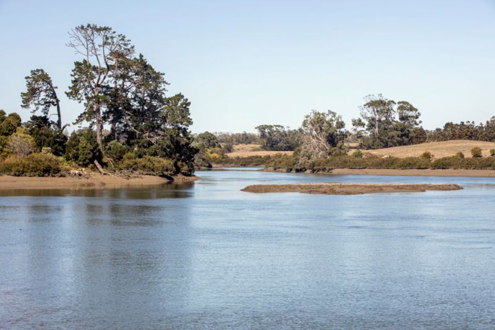 Papakura goes green in draft Local Board Plan