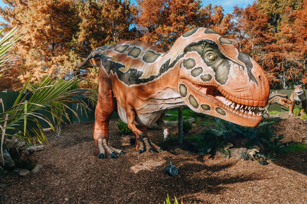 AZ_Dino T-Rex_Our Auckland_ugk0tolv.jpg