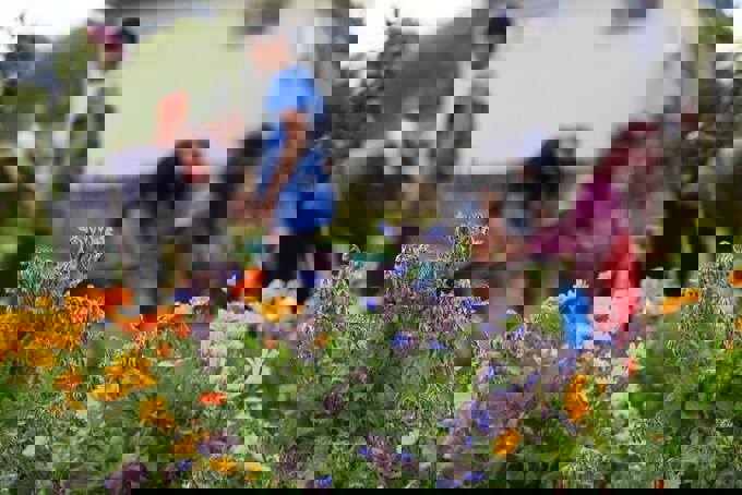 Fruit, neighbours and a thriving community.jpg