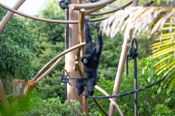 Auckland to South East Asia (7)