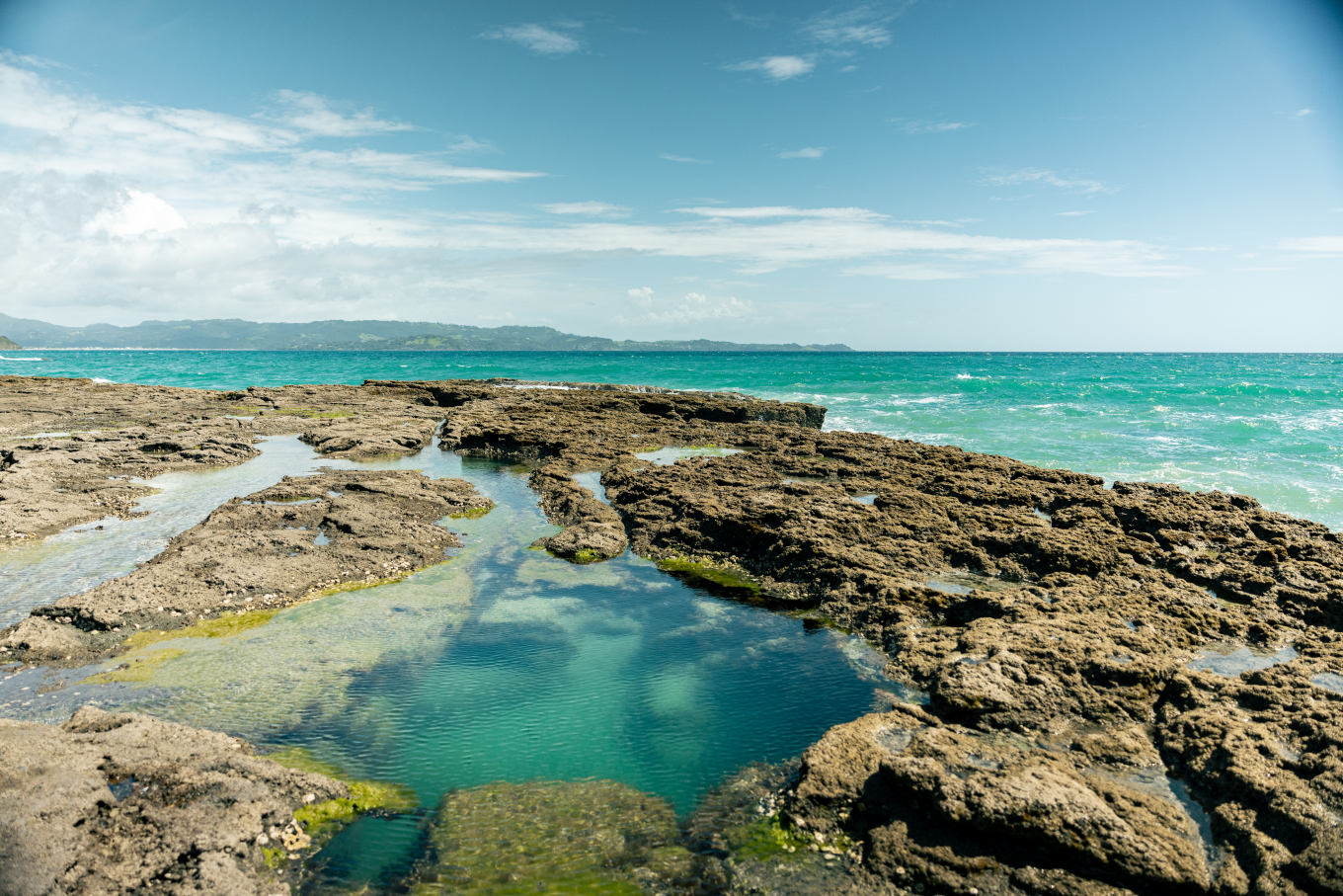 Tawharanui Rock Pools.